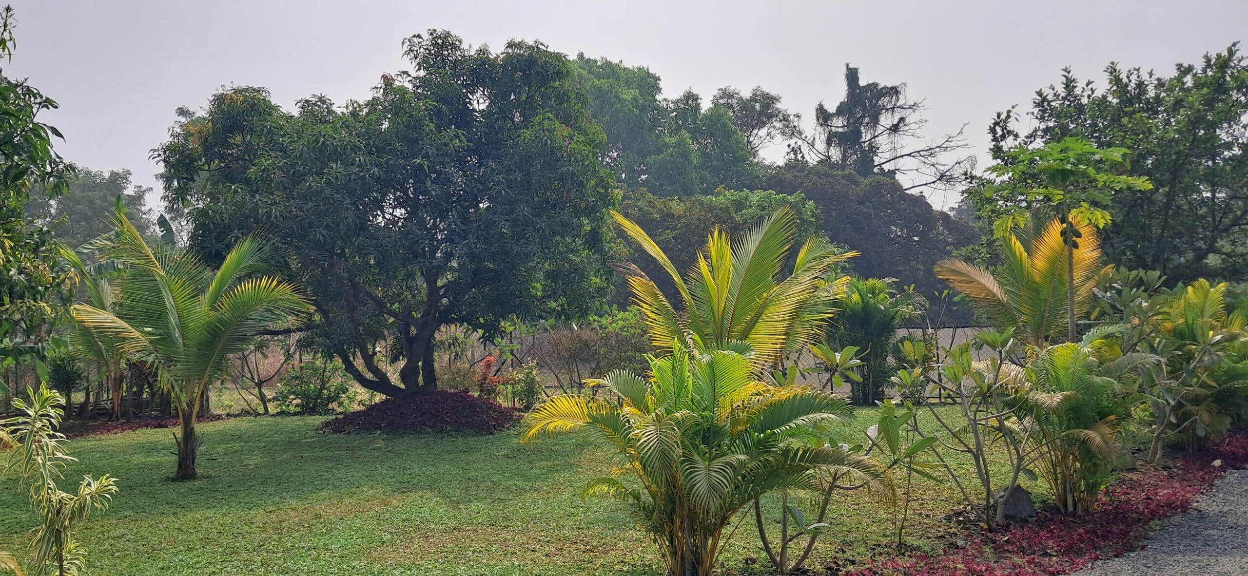 Casa Frangipani – Lawn